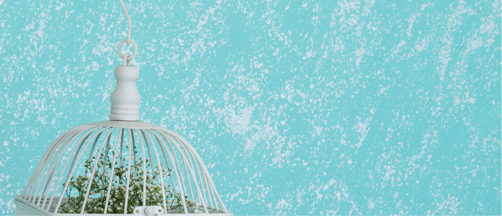 Snow Frost